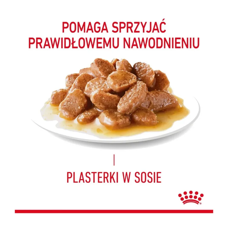 Royal Canin urinaari hooldus kassitoit kastmes viilud taldrikul