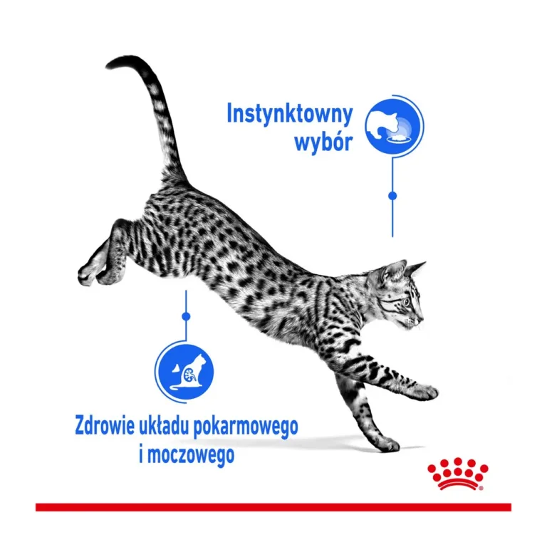Royal Canin kass hüppamas toitumistugevuse ikoonidega