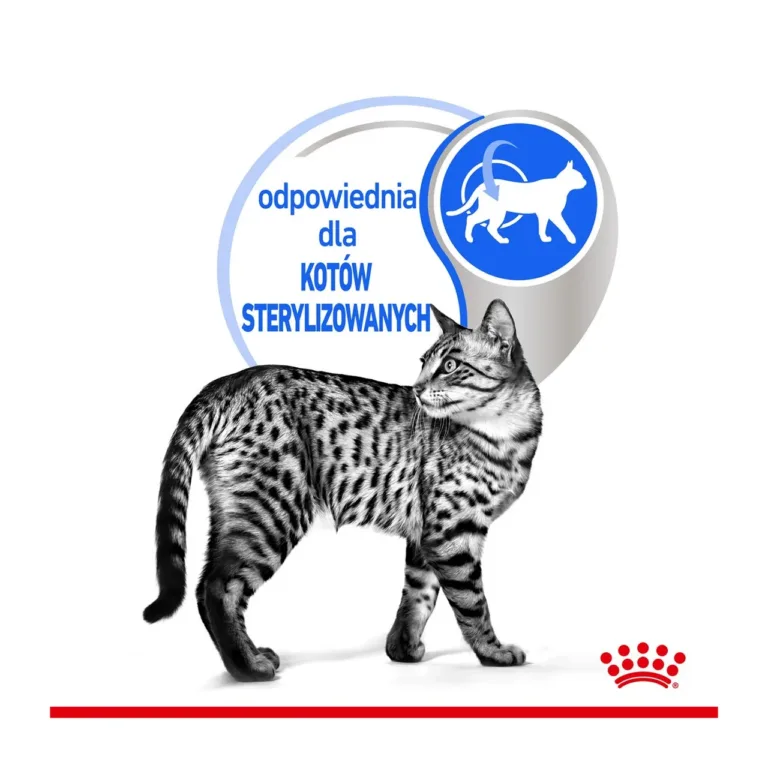 Royal Canin kass sobilik steriliseeritud toakassidele