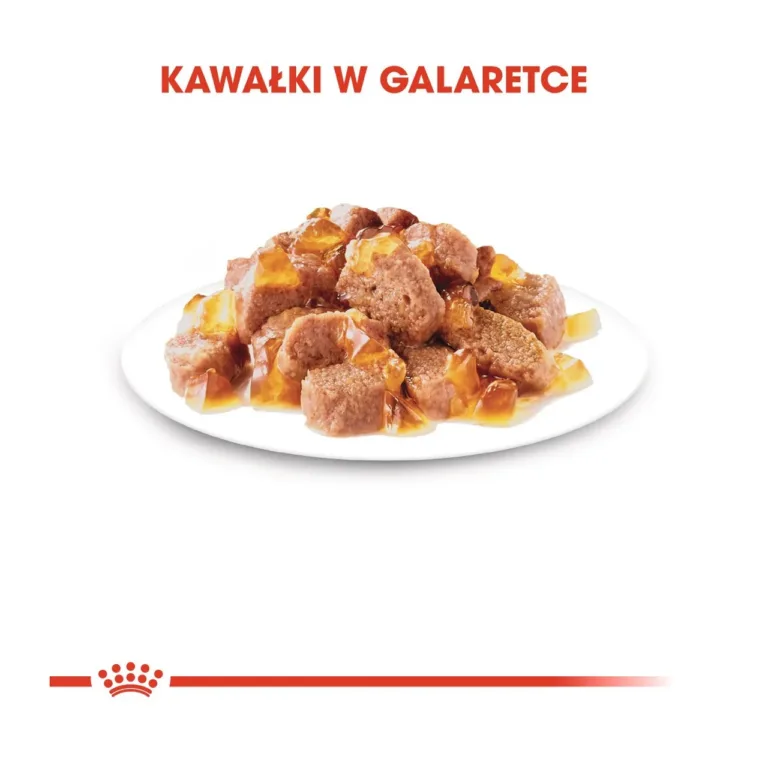 Royal Canin Instinctive linnulihaga kassitoidu tükid želees