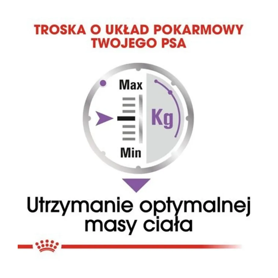 Royal Canin Care Nutrition Sterilised Loaf 12x85g märgtoit steriliseeritud täiskasvanud koertele linnulihaga – 6