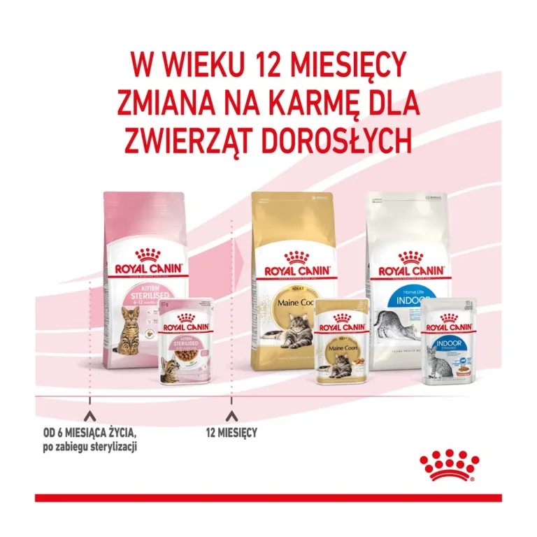 Royal Canin Sterilised Kitten kanaliha märgtoidu karp ja kotike
