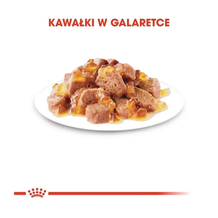 Royal Canin Veterinary Ageing 12+ linnulihaga 12x85g täissööt eakatele kassidele želees – 6