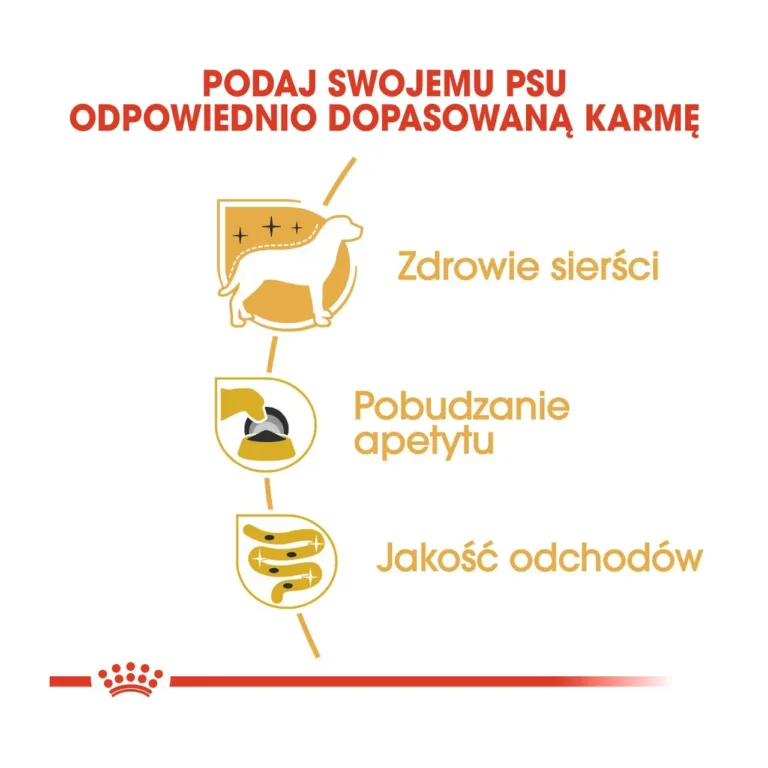 Royal Canin karvkate, isu, seedimine ikoonidega