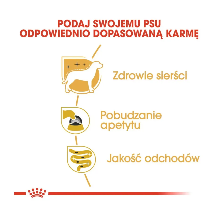 Royal Canin Yorkshire Terrier Adult 85 g märgtoit täiskasvanud väikest tõugu koertele nahka ja karvkatet toetavate vitamiinidega – 8