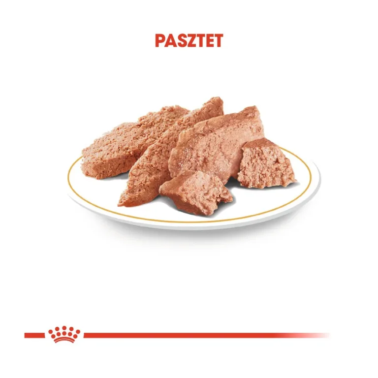 Märgtoit Royal Canin terrojerile pasteti kujul taldrikul