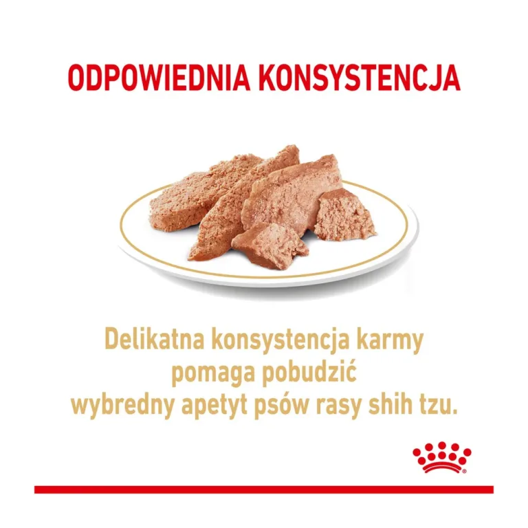 Royal Canin Shih Tzu märgtoit, serveeritud taldrikul