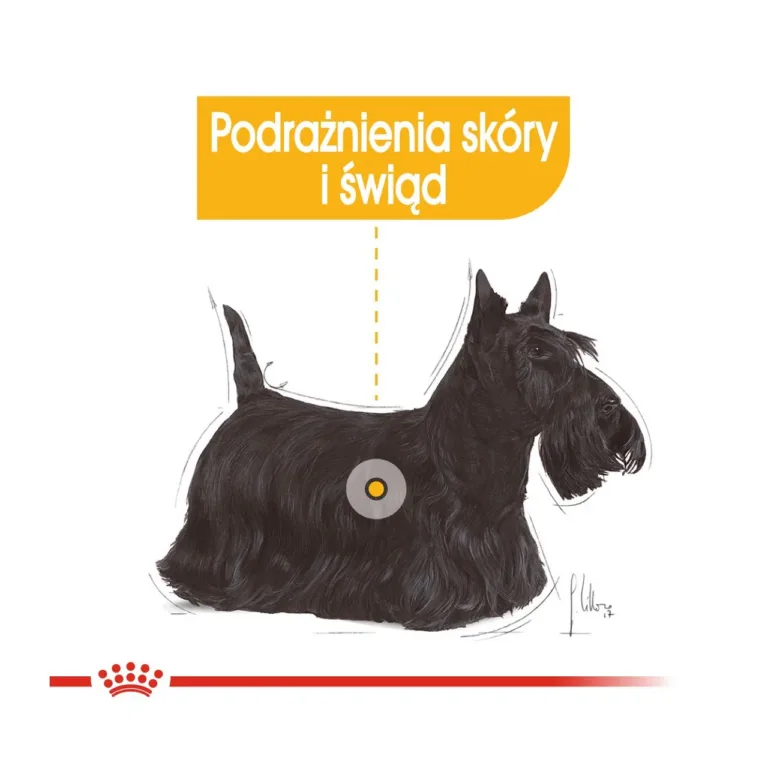 Royal Canin Dermacomfort söötmissoovituste tabel koertele