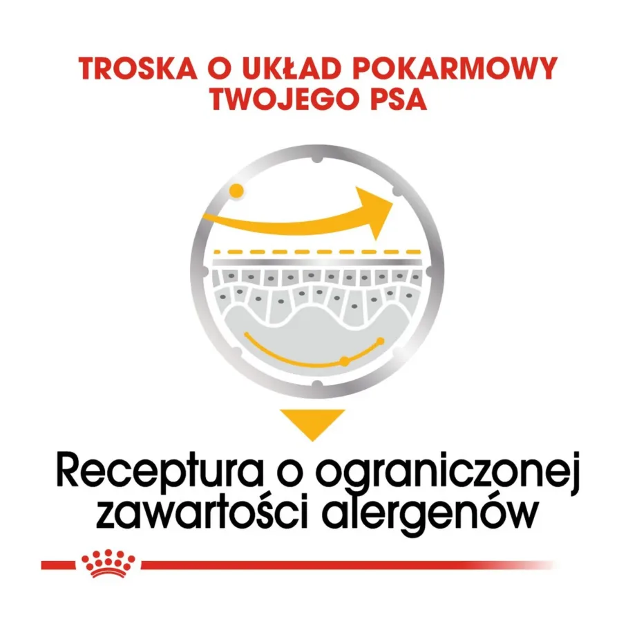 Royal Canin Dermacomfort Care Nutrition 12 x 85 g linnulihaga niiske täistoit täiskasvanud koertele naha ja karvkatte tervise toetamiseks – 7
