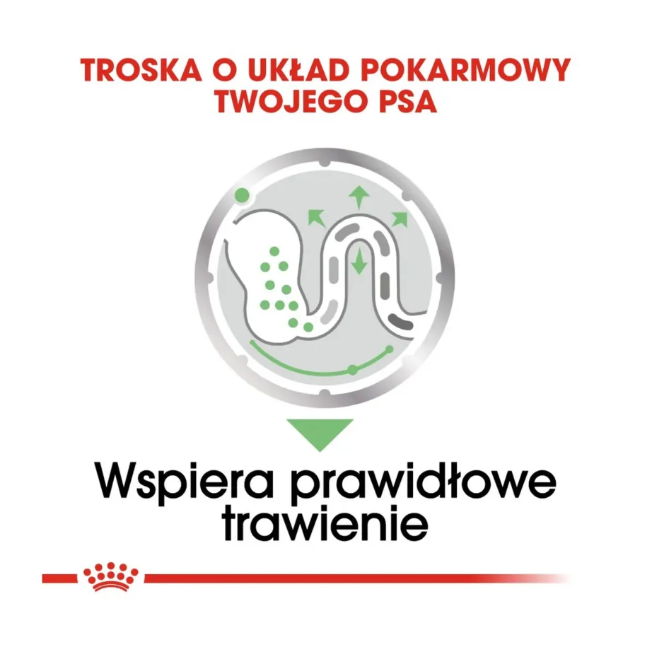 Royal Canin Care Nutrition Digestive Care 12x85g märgtoit tundliku seedimisega täiskasvanud koertele – 6