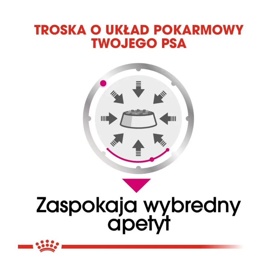 Royal Canin Care Nutrition Exigent 12x85g linnuliha märgtoit valivatele täiskasvanud koertele – 7