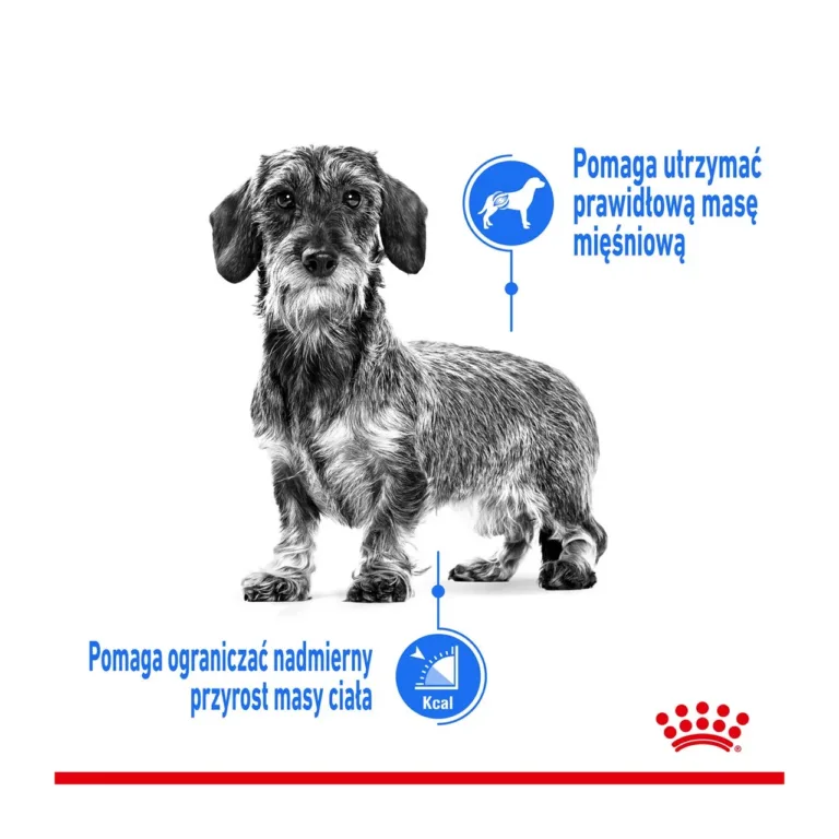 Koer ja visuaalsed eelised kaalulangetuseks, Royal Canin