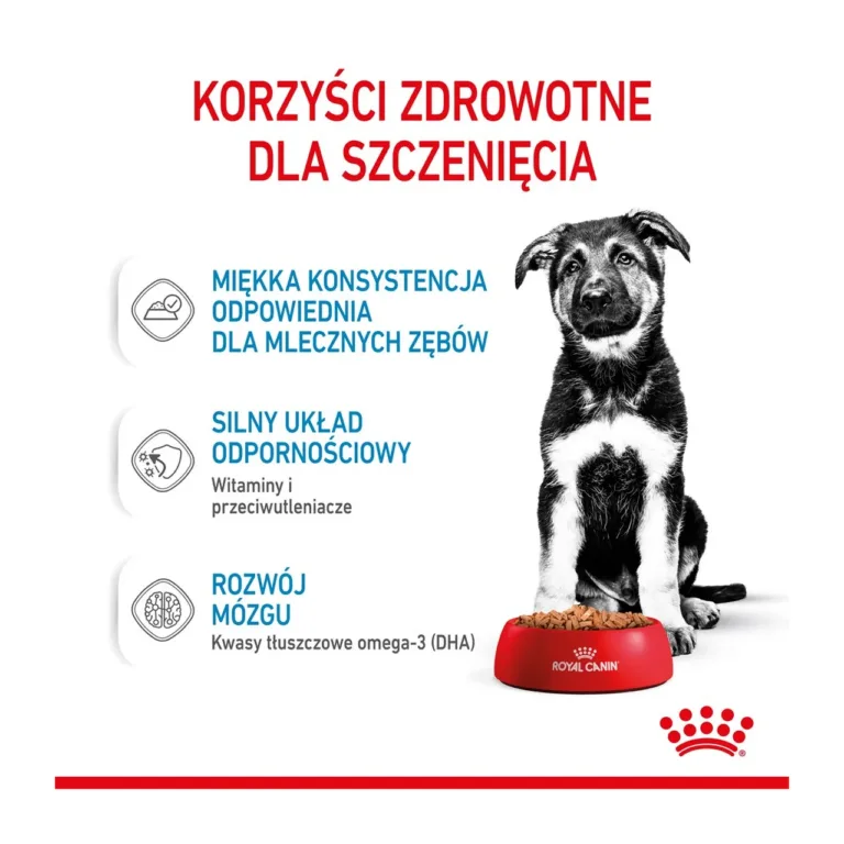 Royal Canin suurtele kutsikatele märgtoit, toitainete info
