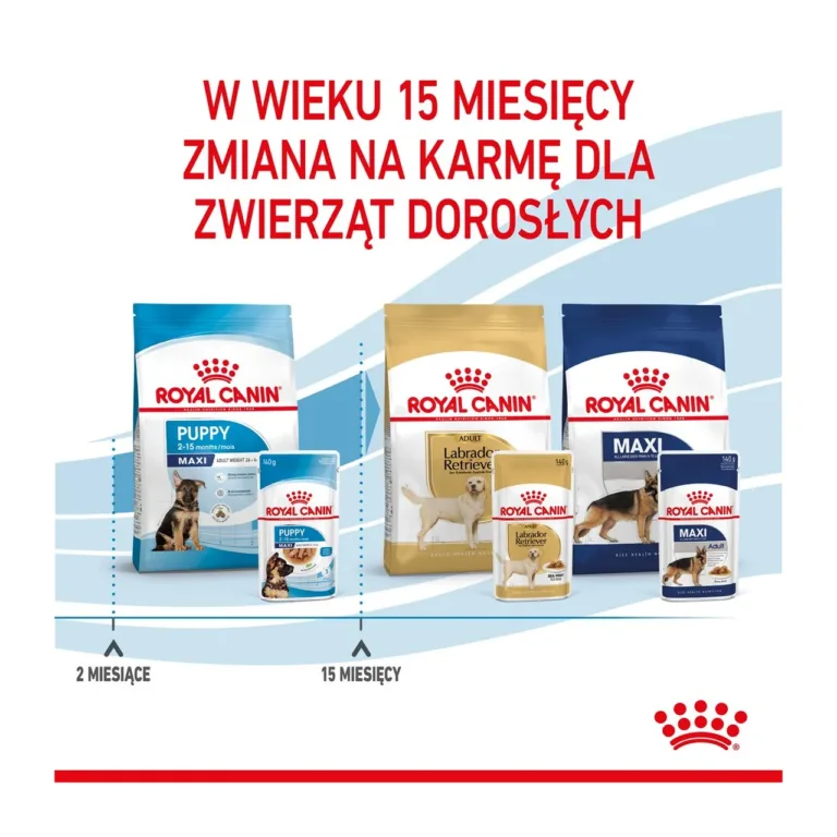 Royal Canin suurtele kutsikatele märgtoit täiskasvanuks kasvamisel