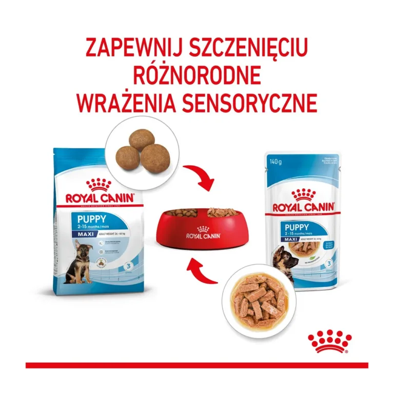 Royal Canin Maxi Puppy kuivtoit ja märgtoit kutsika sensorne kogemus
