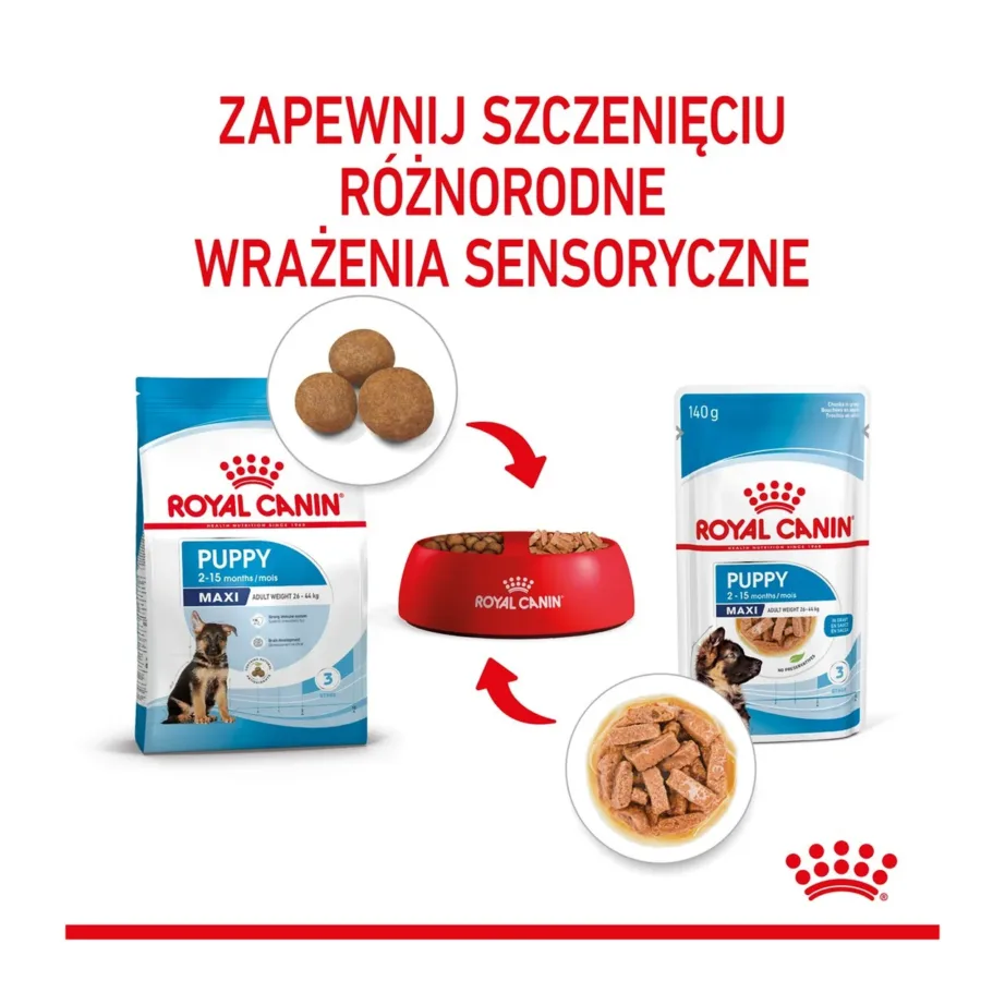 Royal Canin Maxi Puppy 10x140g märgtoit suurte tõugude kutsikatele linnulihaga – 10