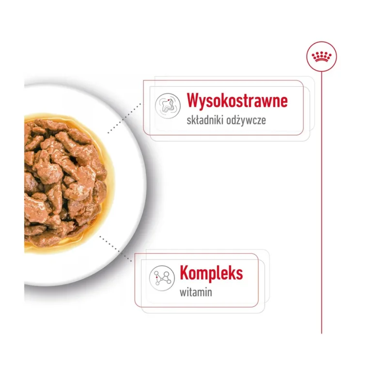 Linnulihaga märgtoitu sisaldav taldrik koos vitamiinikompleksiga