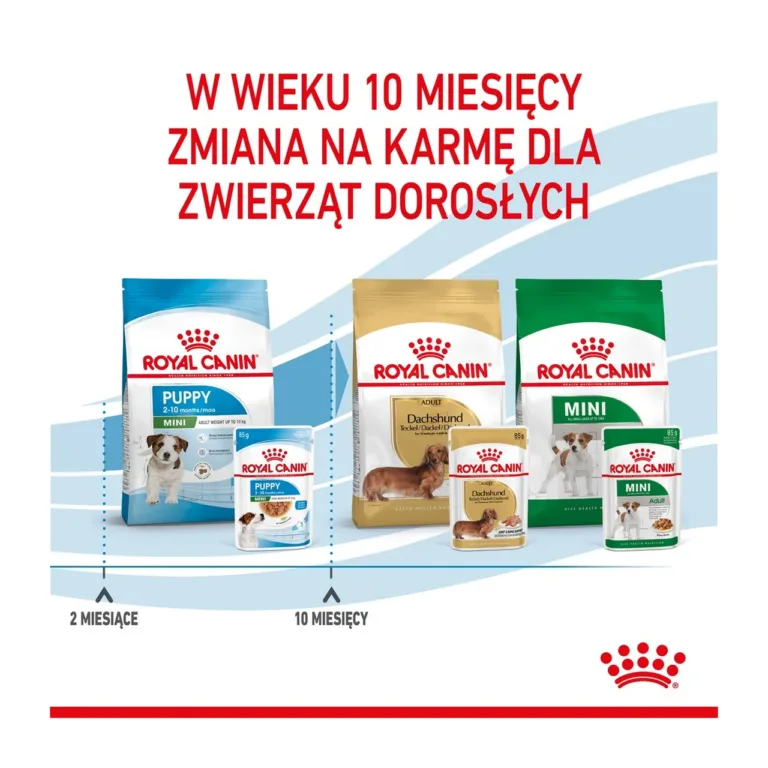 Royal Canin kutsikatoit erinevatel eluperioodidel