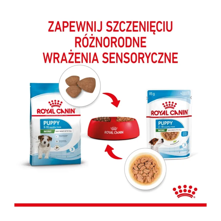 Royal Canin Mini Puppy sensoorne kogemus valik erinevaid vorme