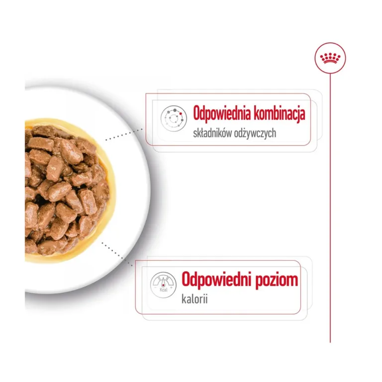 Royal Canin märgtoit väikestele eakatele koertele lihatükid kastmes