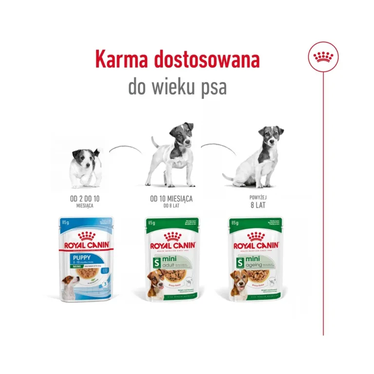 Royal Canin märgtoitude valik väikestele koertele eluetapi järgi