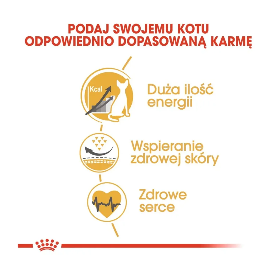 Royal Canin Sphynx Adult 2 kg kuivtoit täiskasvanud sfinksikassile, kanaliha ja sealiha, Feline Breed Nutrition – 2