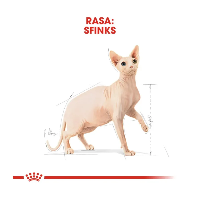 sfinksikass Royal Canin graafiline joonis