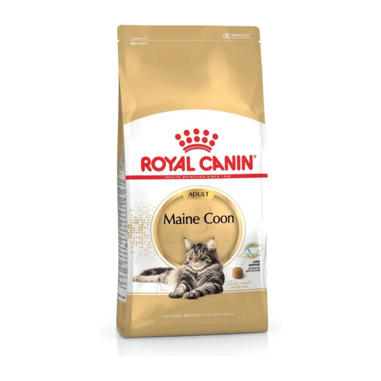 Maine coon kassitoit 4kg Royal Canin pakend
