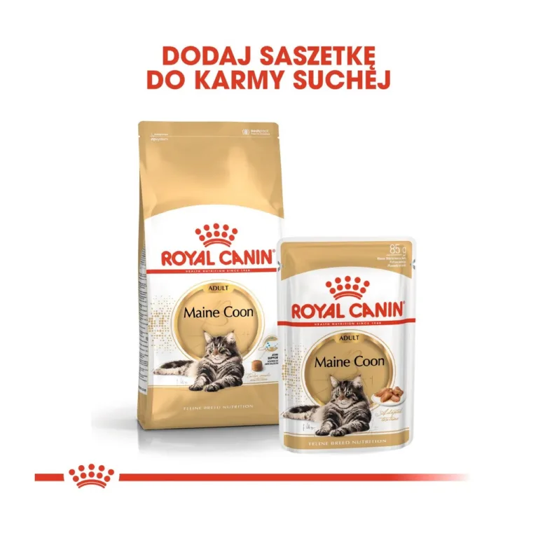 Royal Canin Maine Coon kuiv- ja märgtoit koos