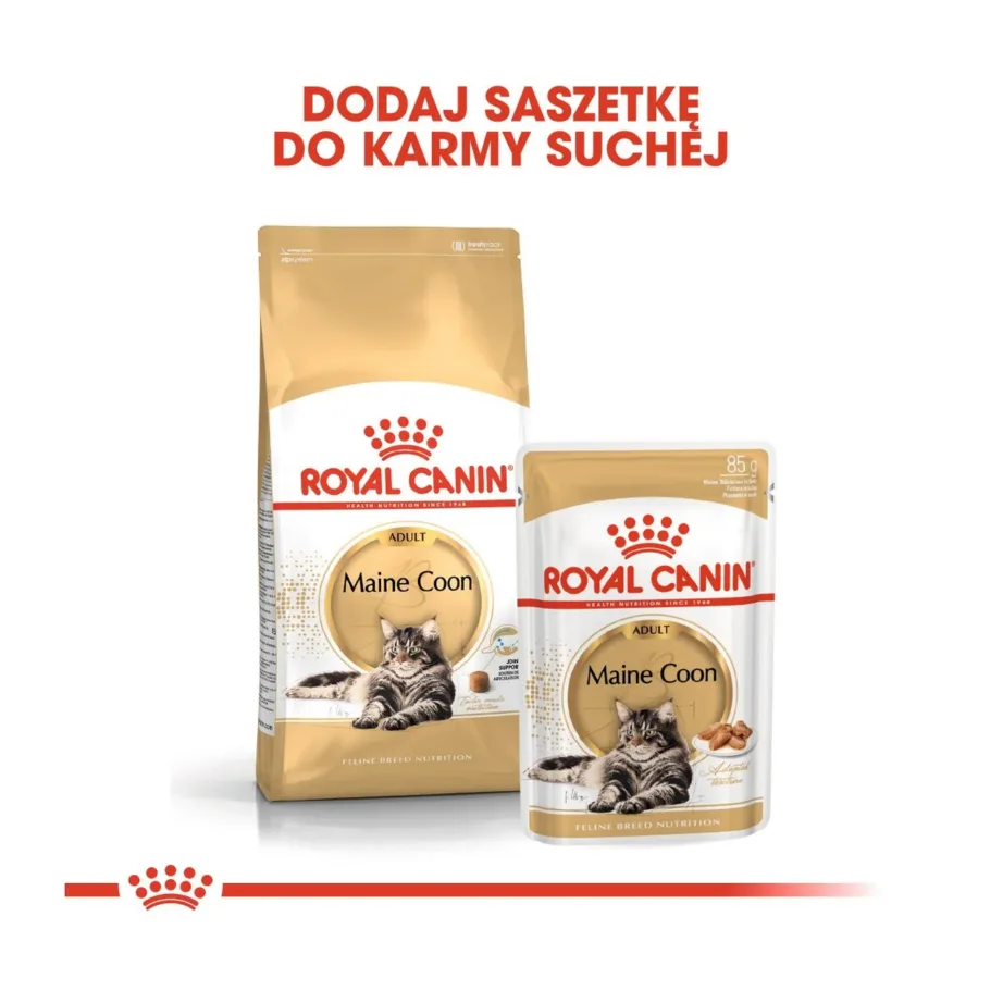 Royal Canin Feline Breed Nutrition Maine Coon Adult 4kg kana kuivtoit täiskasvanud Maine Coon kassile – 9