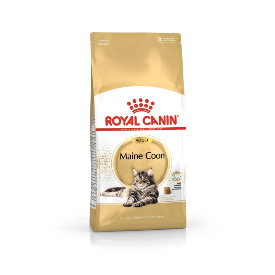 Royal Canin Feline Breed Nutrition Maine Coon Adult 4kg kana kuivtoit täiskasvanud Maine Coon kassile