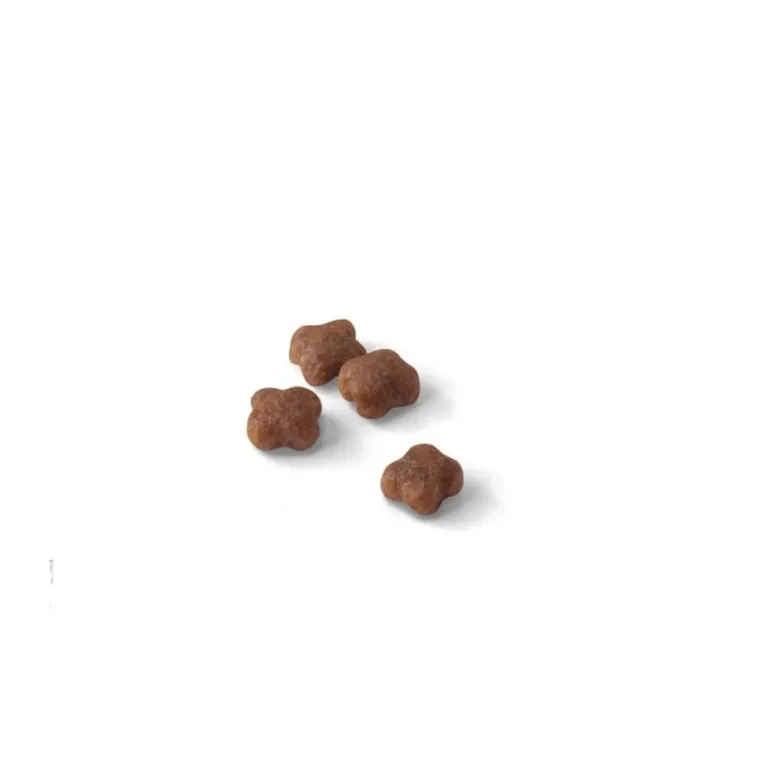 Royal Canin kassipoegadele kuivtoit 2 kg toitumisjuhend