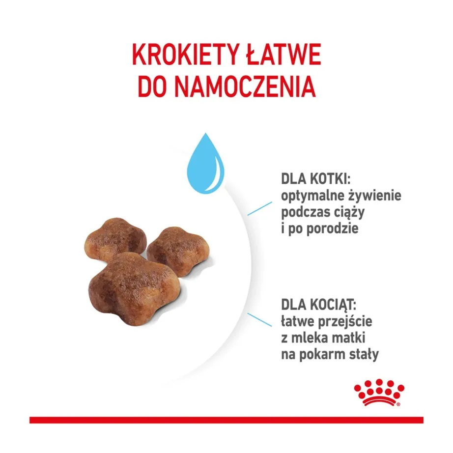 Royal Canin Mother & Babycat 2 kg kuivtoit tiinetele ja imetavatele kassidele ning kassipoegadele – 7