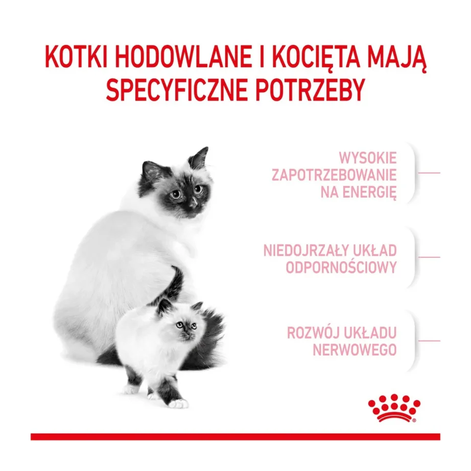 Royal Canin Mother & Babycat 2 kg kuivtoit tiinetele ja imetavatele kassidele ning kassipoegadele – 9