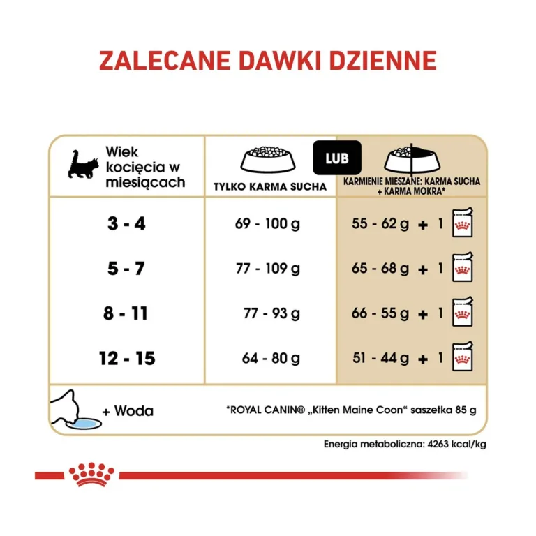 Royal Canin Maine coon kassipoja kuivtoidu toitmissoovitused