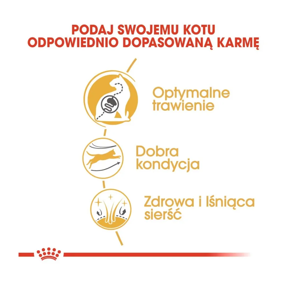 Royal Canin Bengal Adult 10 kg kuivtoit täiskasvanud Bengali kassile, naha ja karvkatte ning seedimise toetamiseks – 9