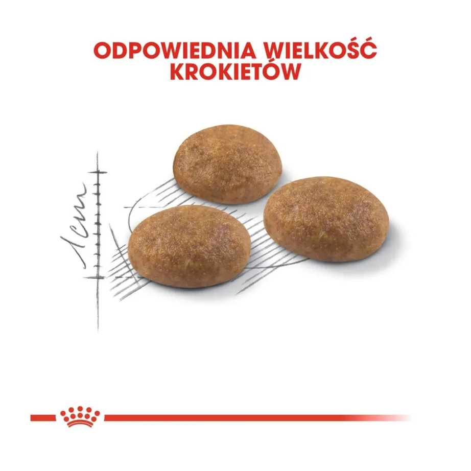 Royal Canin Feline Health Nutrition Outdoor 400 g linnulihaga kuivtoit aktiivsetele täiskasvanud kassidele – 4