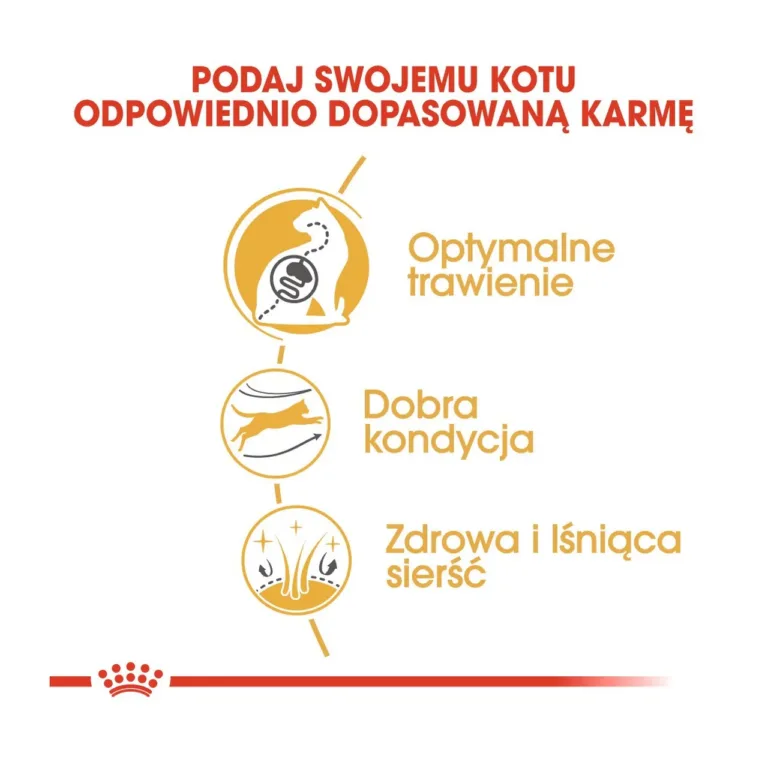 Royal Canin ikoonidega toitumise plakat