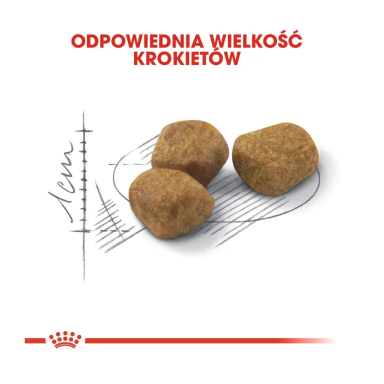 Royal Canin Fit 32 kuivtoidu krokettide lähipilt