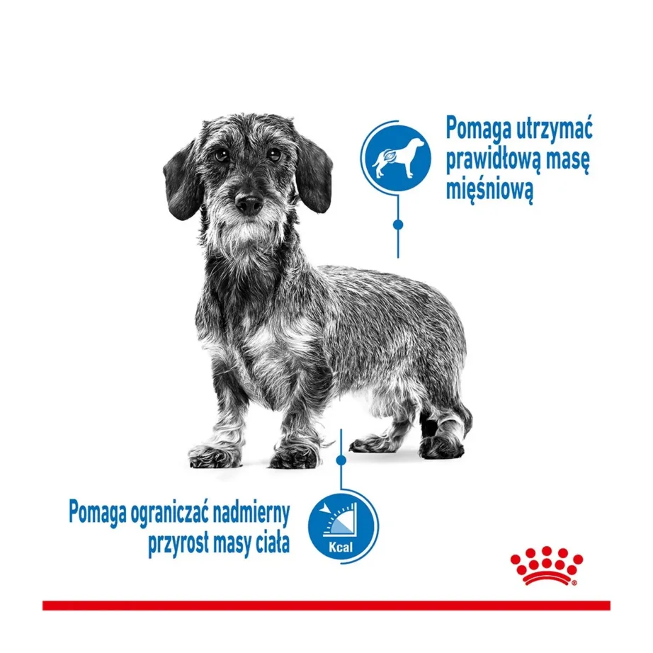 Royal Canin Mini Light Weight Care 3 kg kuivtoit väikestele koertele kaalu säilitamiseks, steriliseeritud ja ülekaalulistele tõugudele – 6