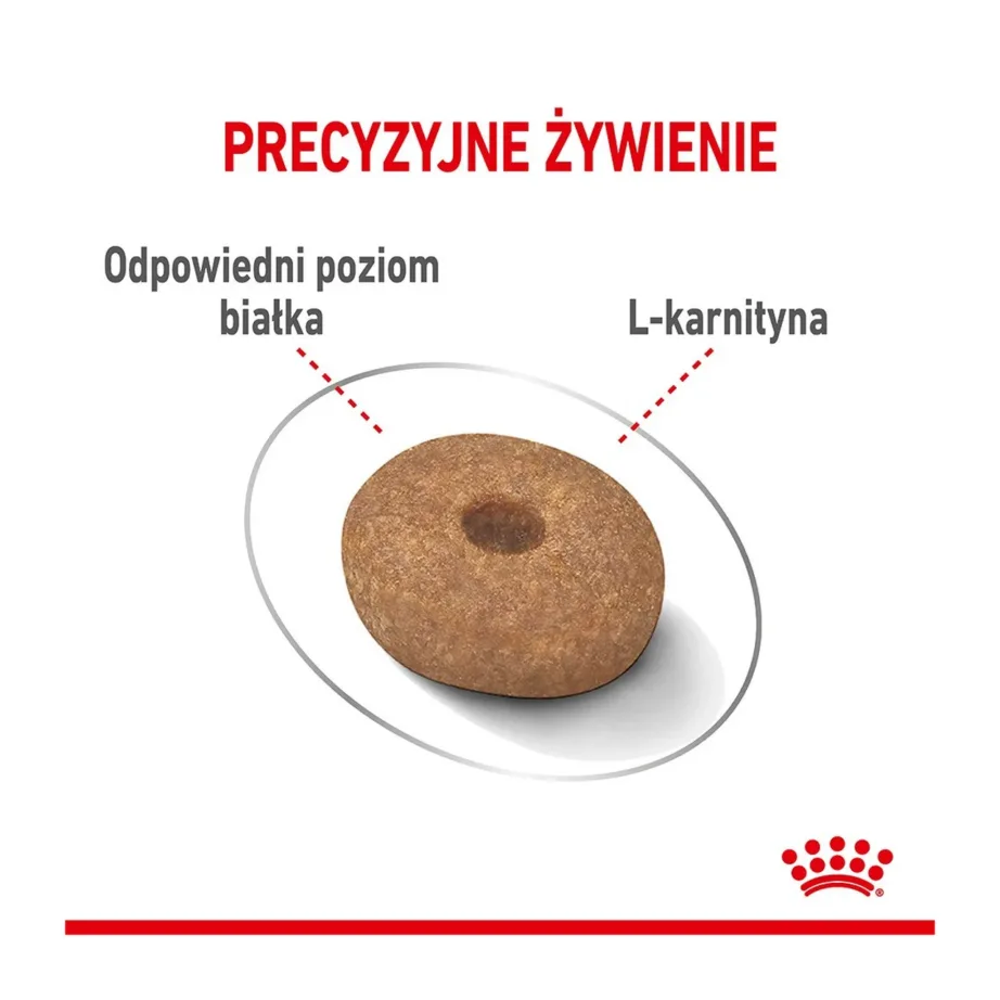 Royal Canin Mini Light Weight Care 3 kg kuivtoit väikestele koertele kaalu säilitamiseks, steriliseeritud ja ülekaalulistele tõugudele – 9