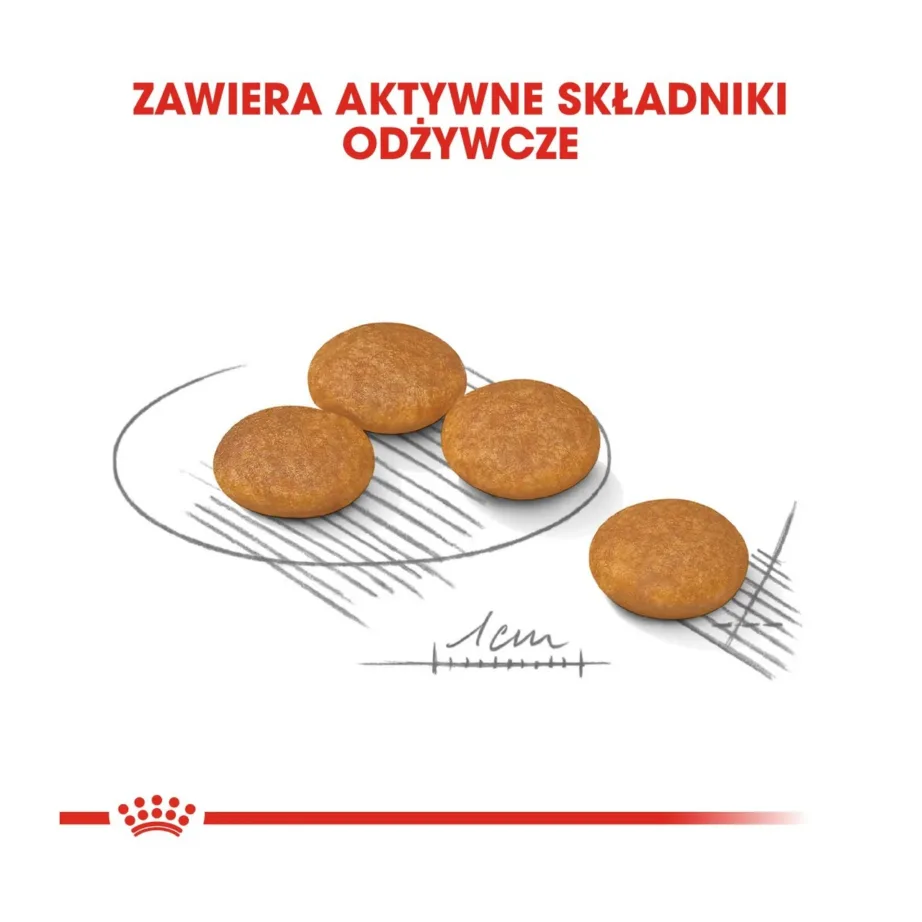 Royal Canin Mini Dermacomfort 3 kg kuivtoit väikestele täiskasvanud koertele tundlikule nahale – 6
