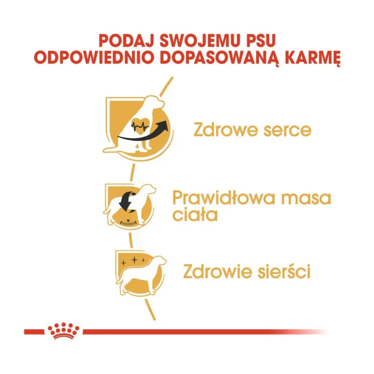 cavalier king charles kuivtoit 1,5 kg terviseinfo infograafik
