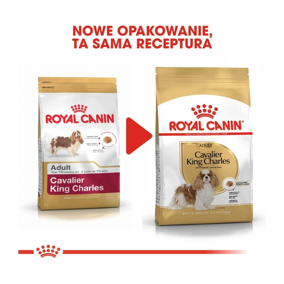 Royal Canin Breed Health Nutrition Cavalier King Charles Adult 1,5 kg kuivtoit vitamiinide ja antioksüdantidega väikest tõugu täiskasvanud koerale – 8
