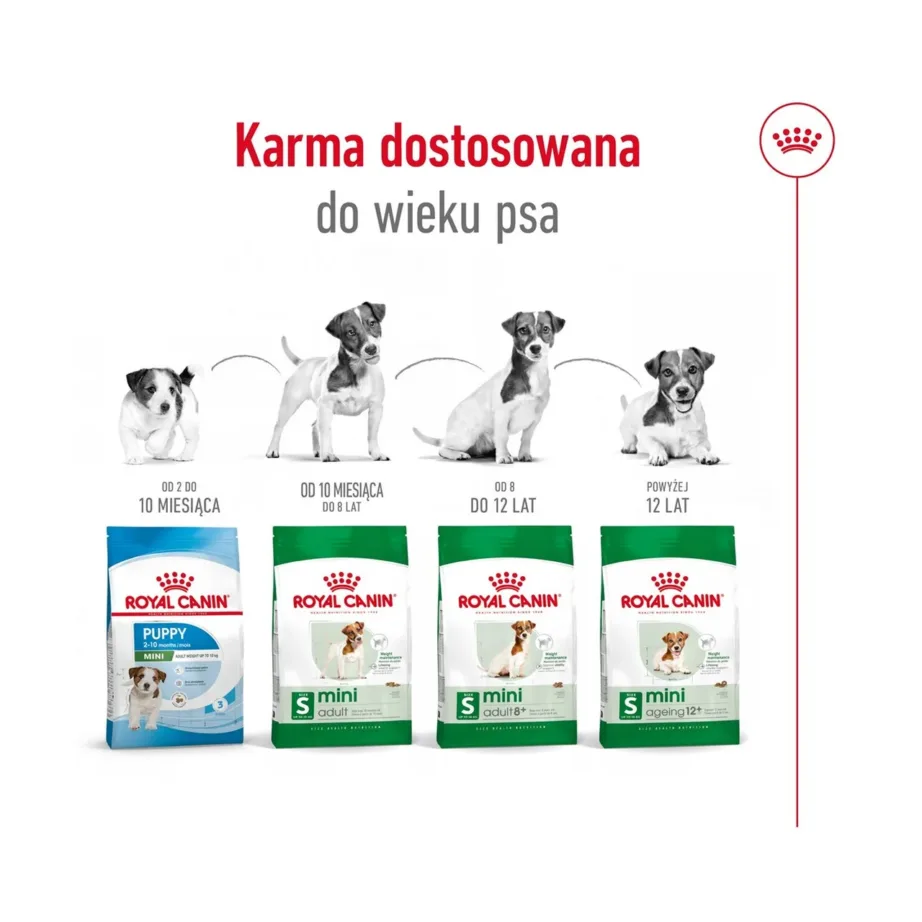 Royal Canin Mini Adult 8+ 800 g kuivtoit väikest tõugu eakatele koertele linnulihaga – 8