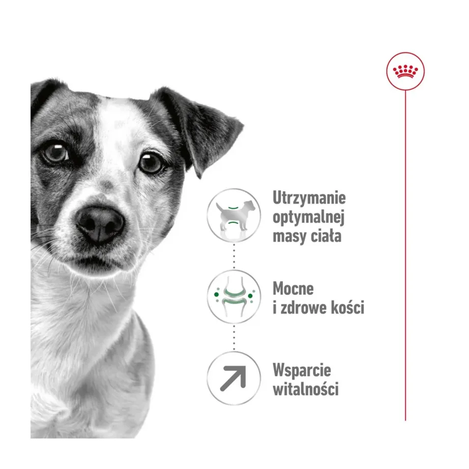 Royal Canin Mini Adult 8+ 800 g kuivtoit väikest tõugu eakatele koertele linnulihaga – 9