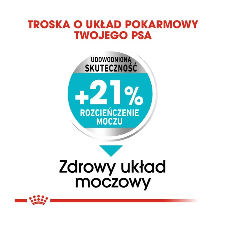 mini koera uriini tervise toit pluss 21% lahjendus