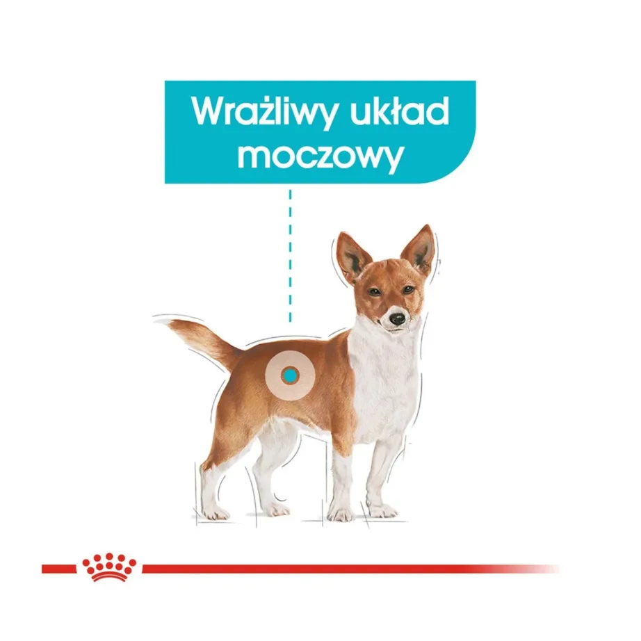 Royal Canin Mini Urinary Care 1 kg linnulihaga kuivtoit väikestele täiskasvanud ja eakatele koertele kuseteede tervise toetamiseks – 3