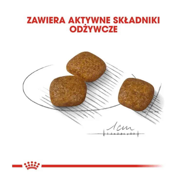 Royal Canin Mini Urinary Care krõbinate suurus