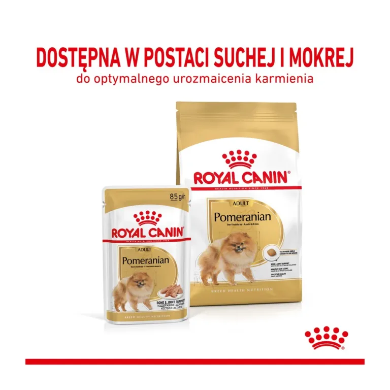 Royal Canin pommeri koera kuivtoit 3 kg pakk ja kotike